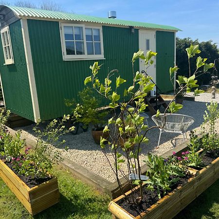 Toms Hut And Robins Rest Shepherd Huts Near Wadebridge Kültér fotó