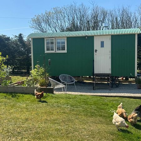 Toms Hut And Robins Rest Shepherd Huts Near Wadebridge Kültér fotó