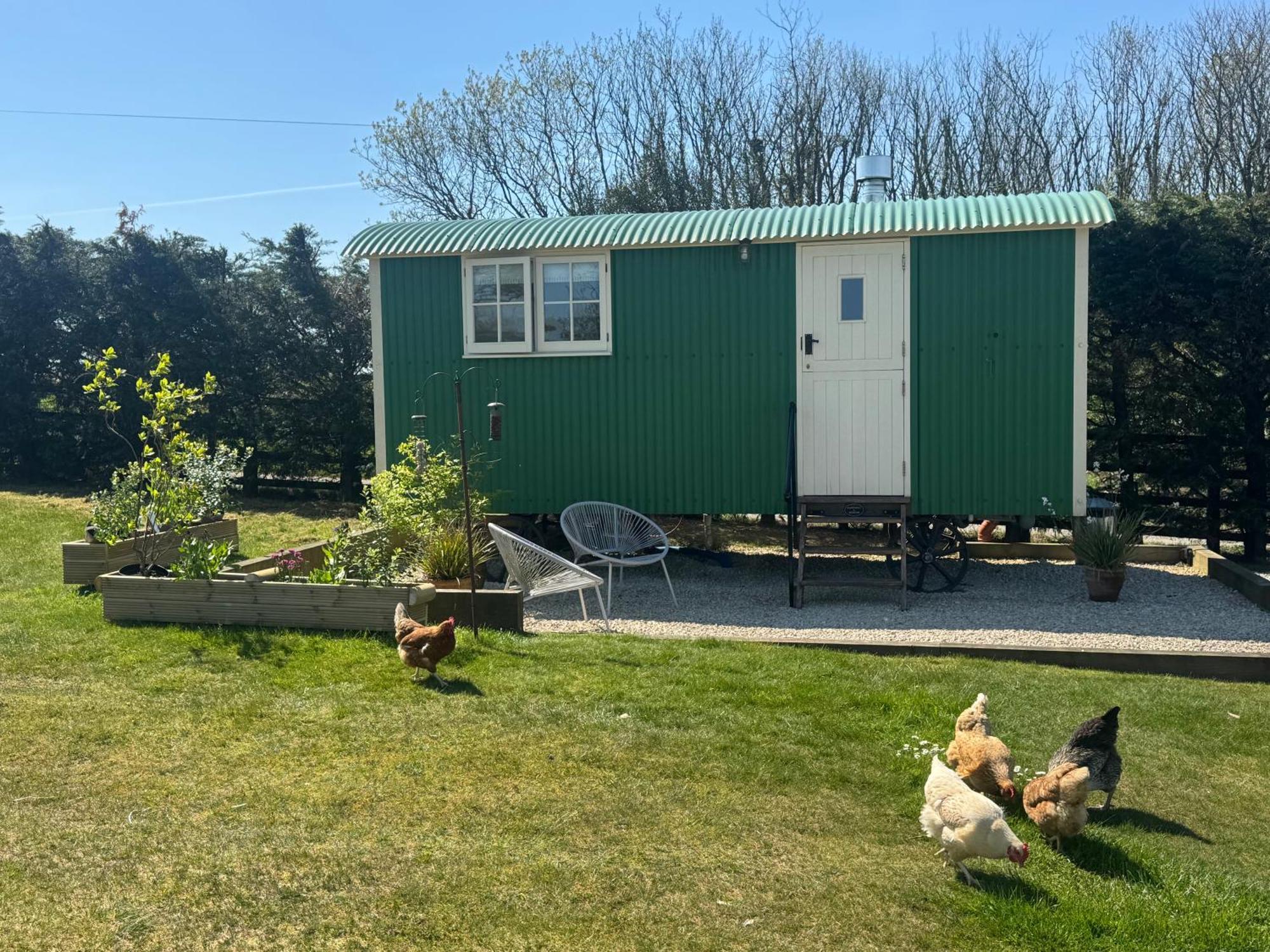 Toms Hut And Robins Rest Shepherd Huts Near Wadebridge Kültér fotó